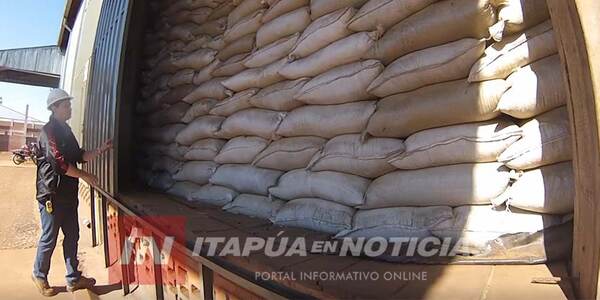 PARAGUAY DEJARÍA DE EXPORTAR YERBA MATE A MISIONES, ARGENTINA - Itapúa Noticias