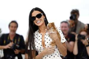 ¡Conocé al chihuahua que acompañó a Demi Moore en Cannes! - Gente - ABC Color
