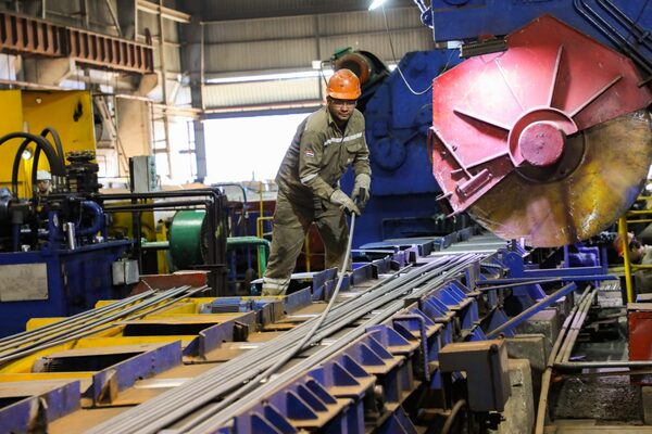 Importaciones bajo r茅gimen de materia prima crecen 28% en primer cuatrimestre - Revista PLUS