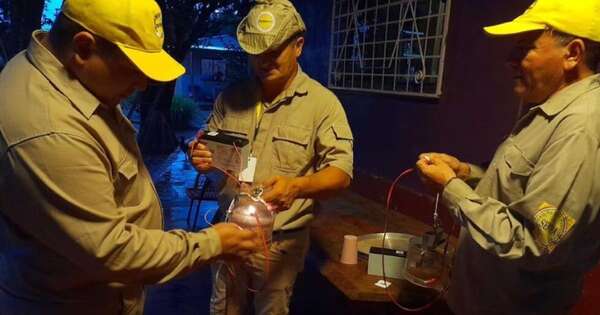 Diario HOY | SENEPA intensifica vigilancia entomológica contra el Oropouche