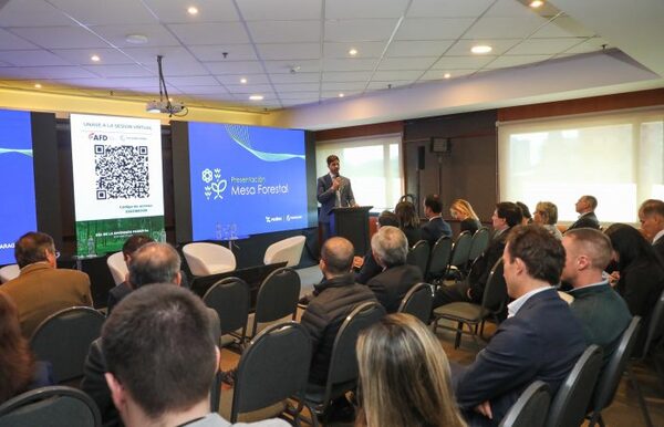 Sector forestal puede llegar a generar USD 2.000 millones anuales en exportaciones, según Rediex - .::Agencia IP::.