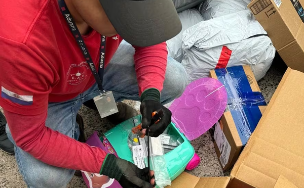 Hallaron partes de armas de fuego escondidas entre juguetes - Noticiero Paraguay