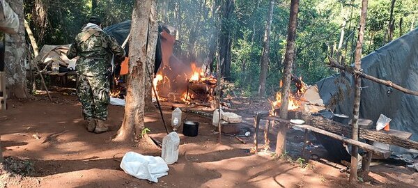 SENAD elimina 12 toneladas de marihuana en Canindeyú