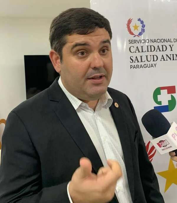 Carne paraguaya: Chile y Unión Europea harán auditoría tras varios años - Economía - ABC Color