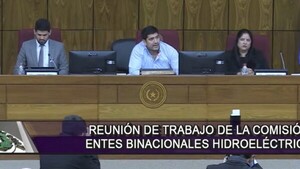 Expertos piden transparencia de recursos obtenidos con la Itaipú