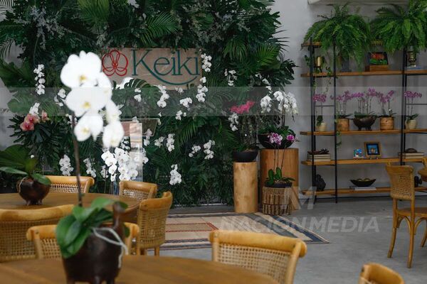 La belleza exótica de Keiki se expande