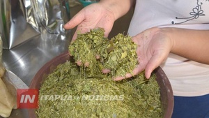 CENTRO YERBATERO PARAGUAYO RECHAZA DESCALIFICACIONES ARGENTINAS A LA YERBA MATE PRODUCIDA EN PARAGUAY - Itapúa Noticias
