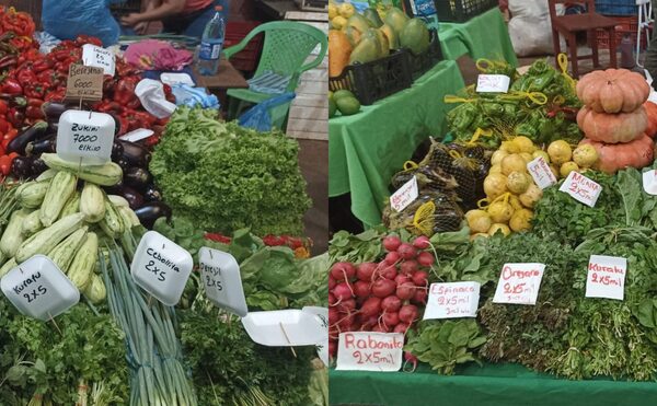 Pequeños agricultores claman por desburocratización al Gobierno - La Clave