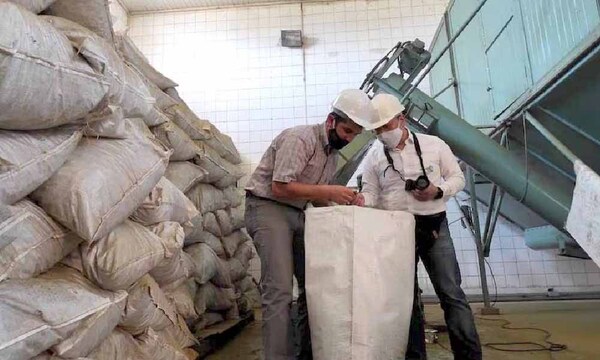 Productores rechazan críticas argentinas a la yerba paraguaya – Prensa 5