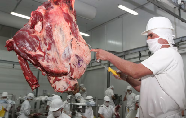 Paraguay avanza en la exportación de carne bovina a México