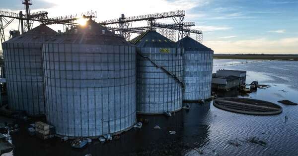 La Nación / Brasil elimina aranceles de importación al arroz