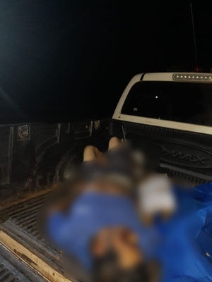Indígena muere tras ser embestido por un automóvil