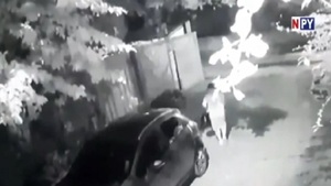 Nuevo golpe de tortoleros en Asunción - Noticias Paraguay