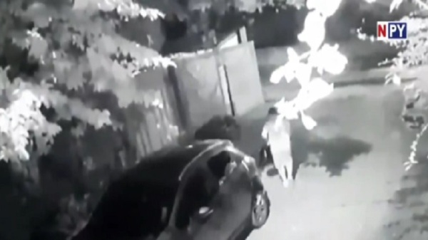 Nuevo golpe de tortoleros en Asunción - Noticias Paraguay