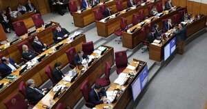 La Nación / Senado da media sanción a pensión para víctimas colaterales del feminicidio