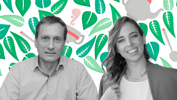 Té paraguayo con excelente proyección: empresas llegan a diferentes puntos del mundo