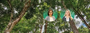 Sector Forestal: Centro de inversión en ascenso y motor de crecimiento económico para Paraguay - MarketData