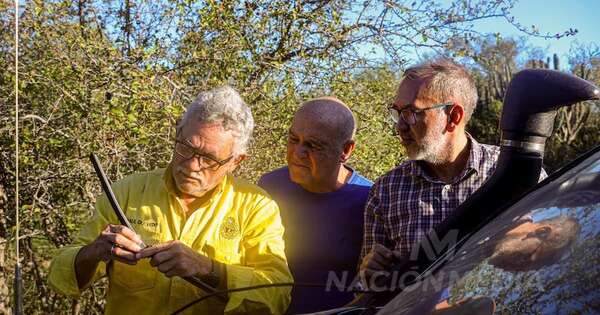 La Nación / La etapa final será en Mariscal