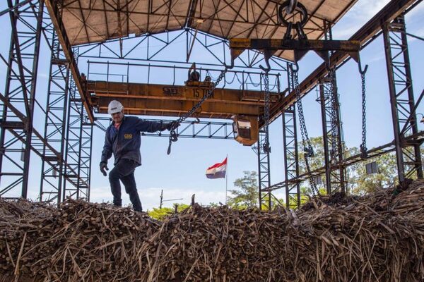 Petropar proyecta producir 20 millones de litros de alcohol en la presente zafra cañera - MarketData