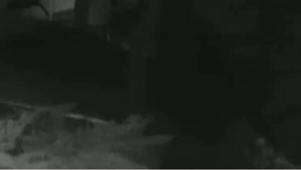 Filman una “luz blanca” en la puerta de un hotel: aseguran que se trata de un alma en pena