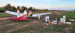Agroquímicos: lanzaron 30 horas de aplicación aérea en el Chaco contra langostas - Nacionales - ABC Color