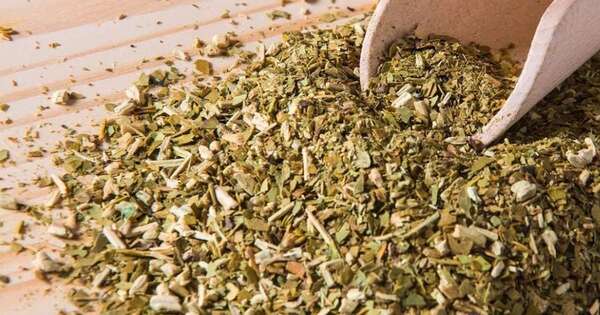 La Nación / Árabes prefieren la yerba mate paraguaya, que ya llega a 27 países