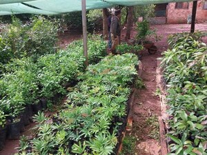 Afirman que el pequeño agricultor no tiene ningún apoyo del actual Gobierno - La Clave