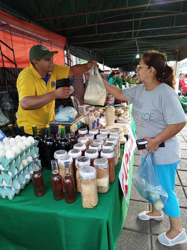 En adhesión al aniversario de Concepción ofrecen productos frescos del campo en Feria de la Agricultura Familiar - .::Agencia IP::.
