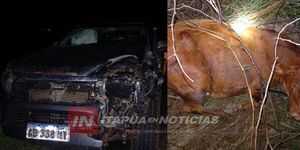 CAMIONETA IMPACTÓ CONTRA UNA VACA EN SAN PEDRO DEL PARANÁ  - Itapúa Noticias