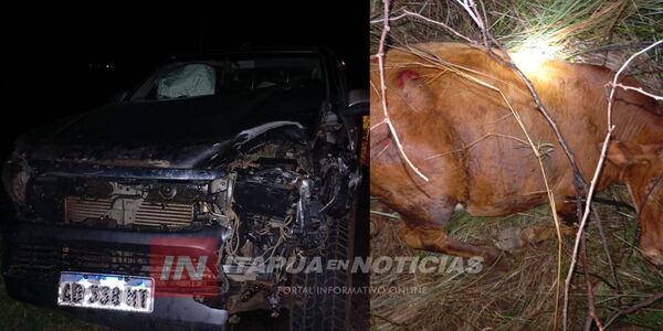 CAMIONETA IMPACTÓ CONTRA UNA VACA EN SAN PEDRO DEL PARANÁ - Itapúa Noticias