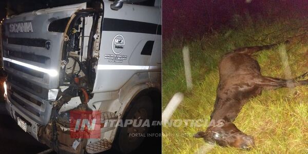 TRACTOCAMIÓN COLISIONÓ CONTRA CABALLO EN CNEL. BOGADO - Itapúa Noticias
