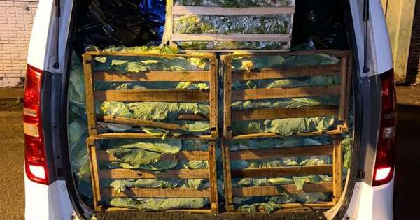 Diario HOY | Fiscal procesa a comerciante detenido con supuesta carga de contrabando