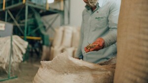 Provincia argentina aumentó las trabas a la yerba mate paraguaya