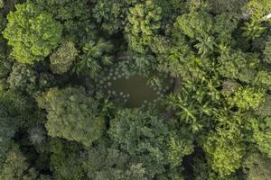 Amazonía brasileña con una completa inmersión - Viajes - ABC Color