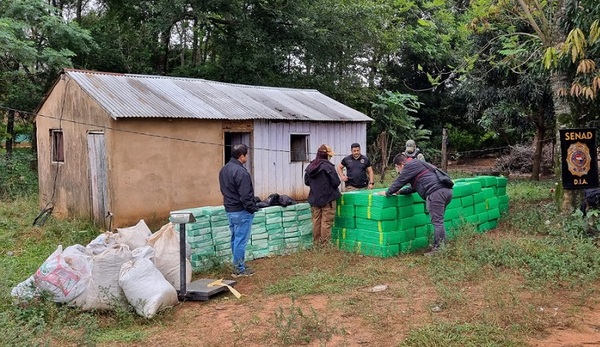 SENAD incautó casi 4 toneladas de Marihuana en zona de influencia de alias “Macho”