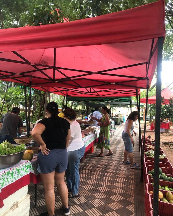 ¡Vuelve la Feria Agroecológica y Artesanal este sábado en la Plaza Italia! - trece