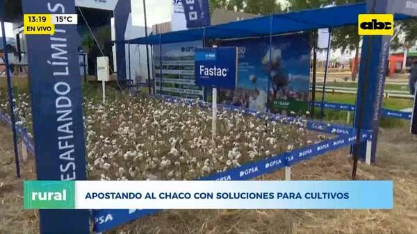 Expo Pioneros: GPSA apuesta al Chaco con soluciones para cultivos - ABC Rural - ABC Color
