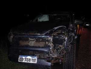 Animales vacunos causan accidente en Ruta PY01