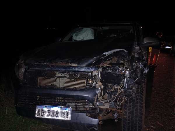 Animales vacunos causan accidente en Ruta PY01
