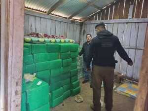 SENAD incautó casi 4 toneladas de Marihuana en zona de influencia de alias “Macho”