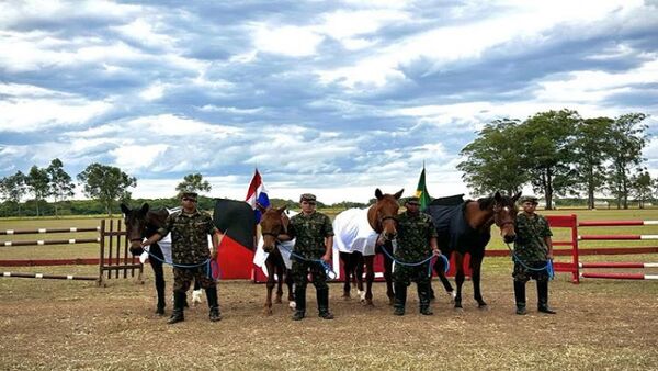 Ejercito paraguayo recibe donacion de cuatro caballos de sus pares del Brasil