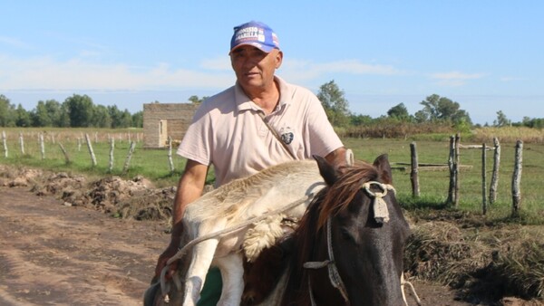 Ñeembucú: Preocupa mortandad de animales por inundación