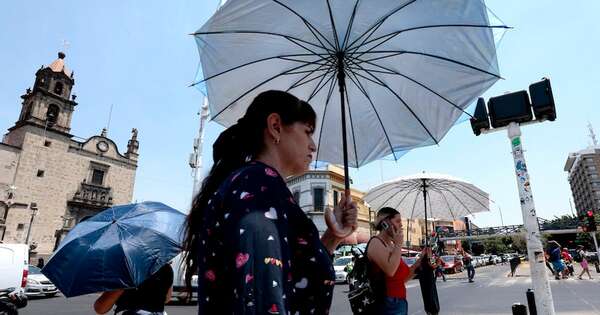 La Nación / Ola de calor se cobró 48 víctimas