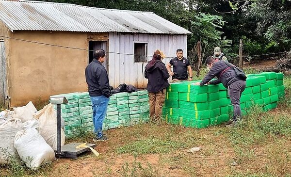 Decomisan casi 4 toneladas de marihuana en zona de influencia de alias «Macho» – Diario TNPRESS