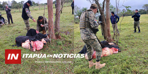 POLICÍA INTERVINO EN UN HECHO DE ABIGEATO EN GENERAL ARTIGAS - Itapúa Noticias