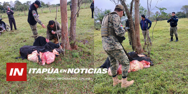 POLICÍA INTERVINO EN UN HECHO DE ABIGEATO EN GENERAL ARTIGAS - Itapúa Noticias