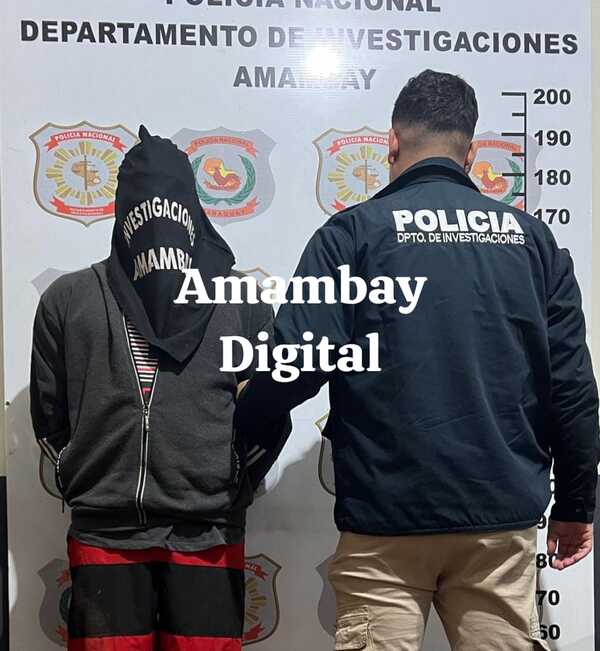 En allanamiento detienen a un joven por robo a un local gastronómico