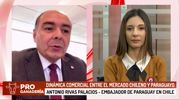 Dinámica comercial entre el mercado chileno y paraguayo - Megacadena - Diario Digital