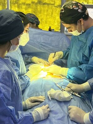 Exitosa extirpación de un tumor gigante en el Hospital Regional de Pedro Juan Caballero