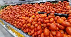 La Nación / Producción el tomate despegaría en junio y equilibrará el precio